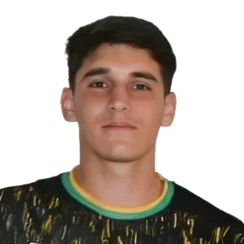 Pedro Estigarribia